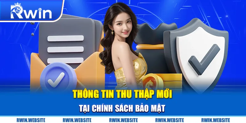 Thông tin thu thập mới tại chính sách bảo mật