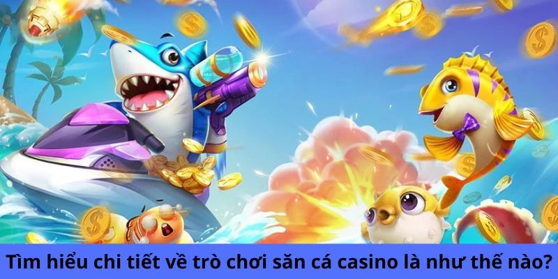 Đăng ký Rwin, trở thành “ngư thủ” đầy may mắn